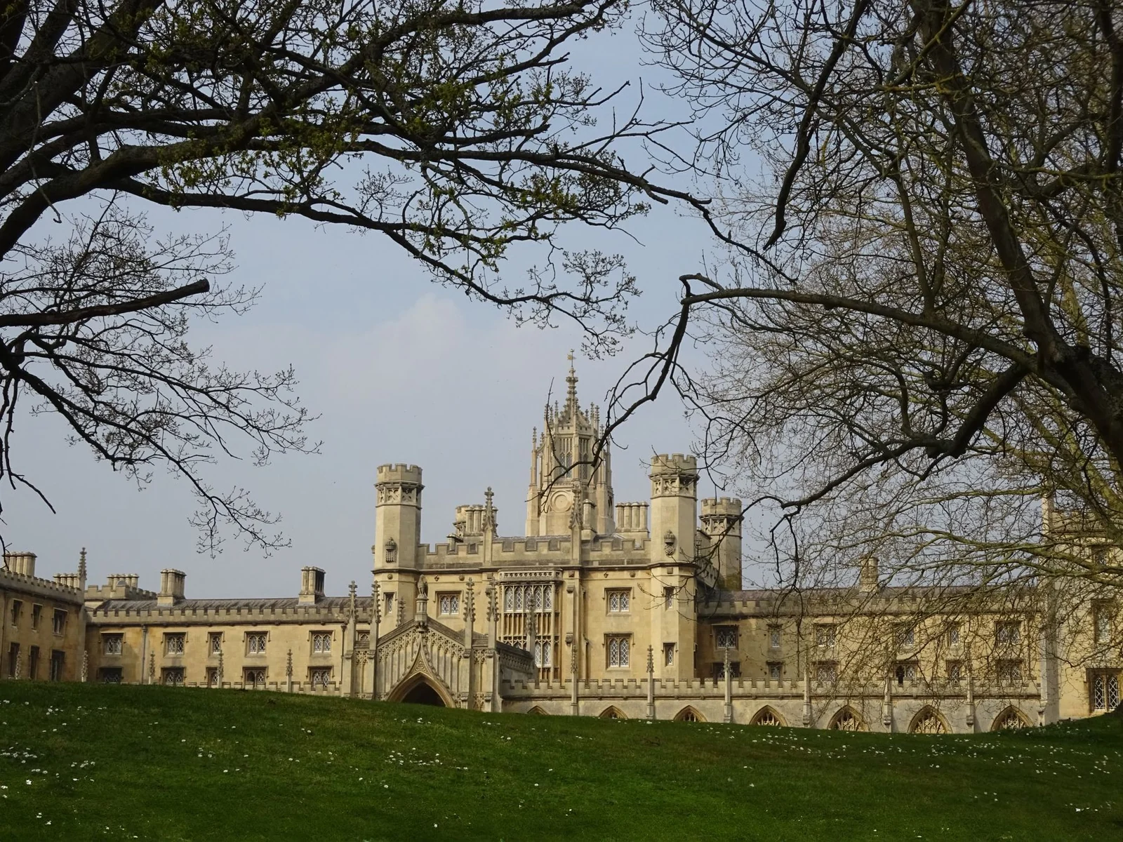 Zabytkowy budynek kolegium w Cambridge otoczony drzewami